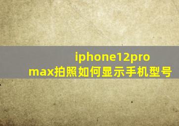 iphone12pro max拍照如何显示手机型号